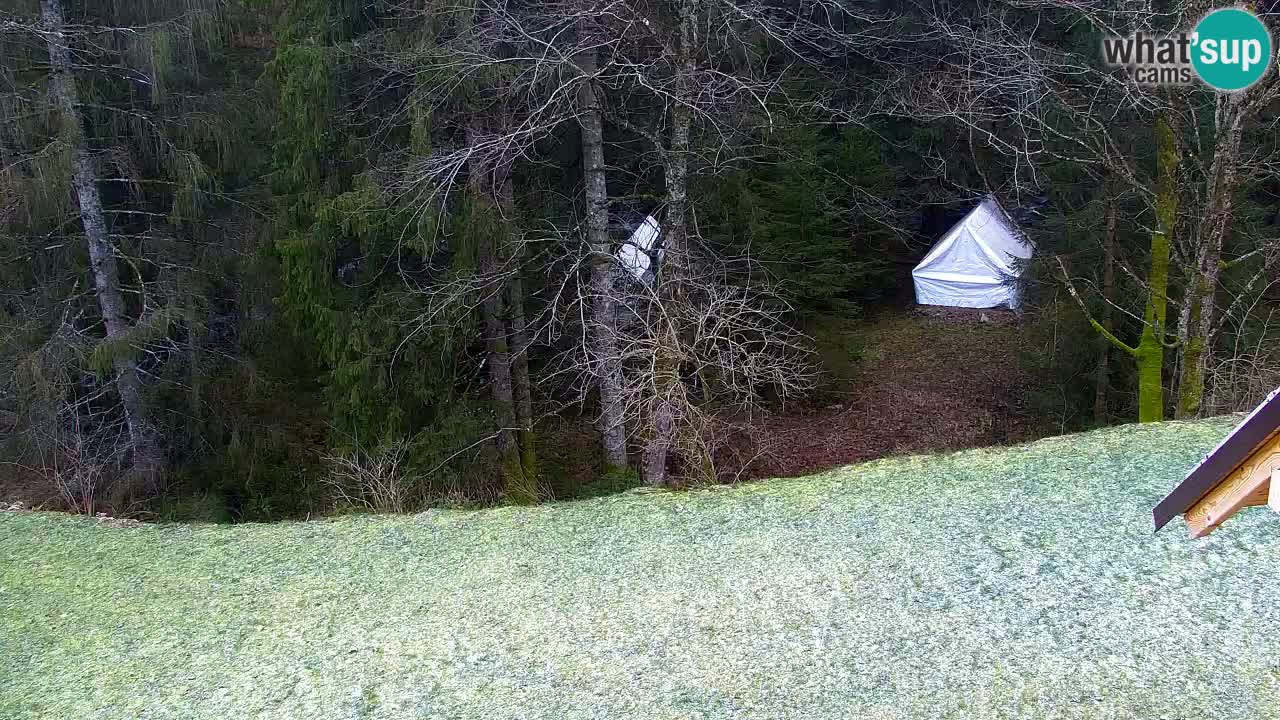 Webcam Lukanja – Water Village | Pohorje Houses