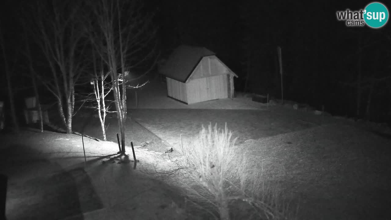 Webcam Lukanja – Water Village | Pohorje Houses