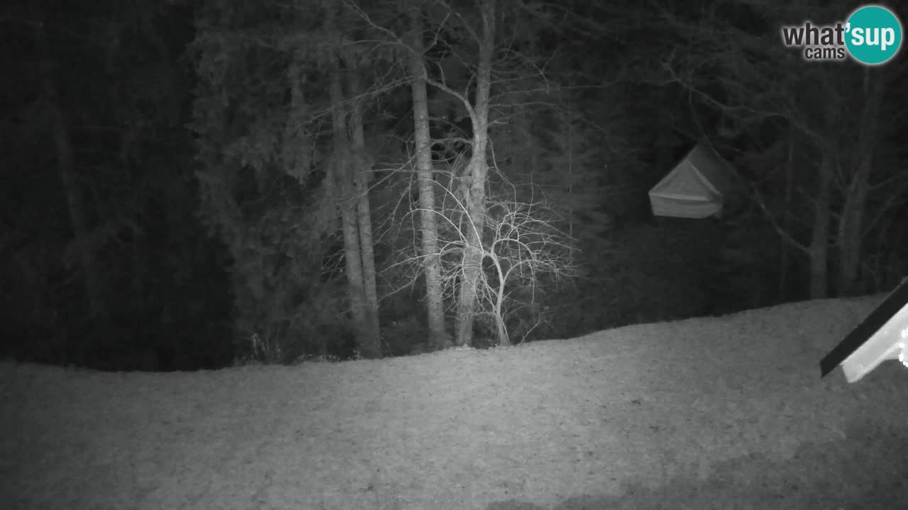 Webcam Lukanja – Water Village | Pohorje Houses