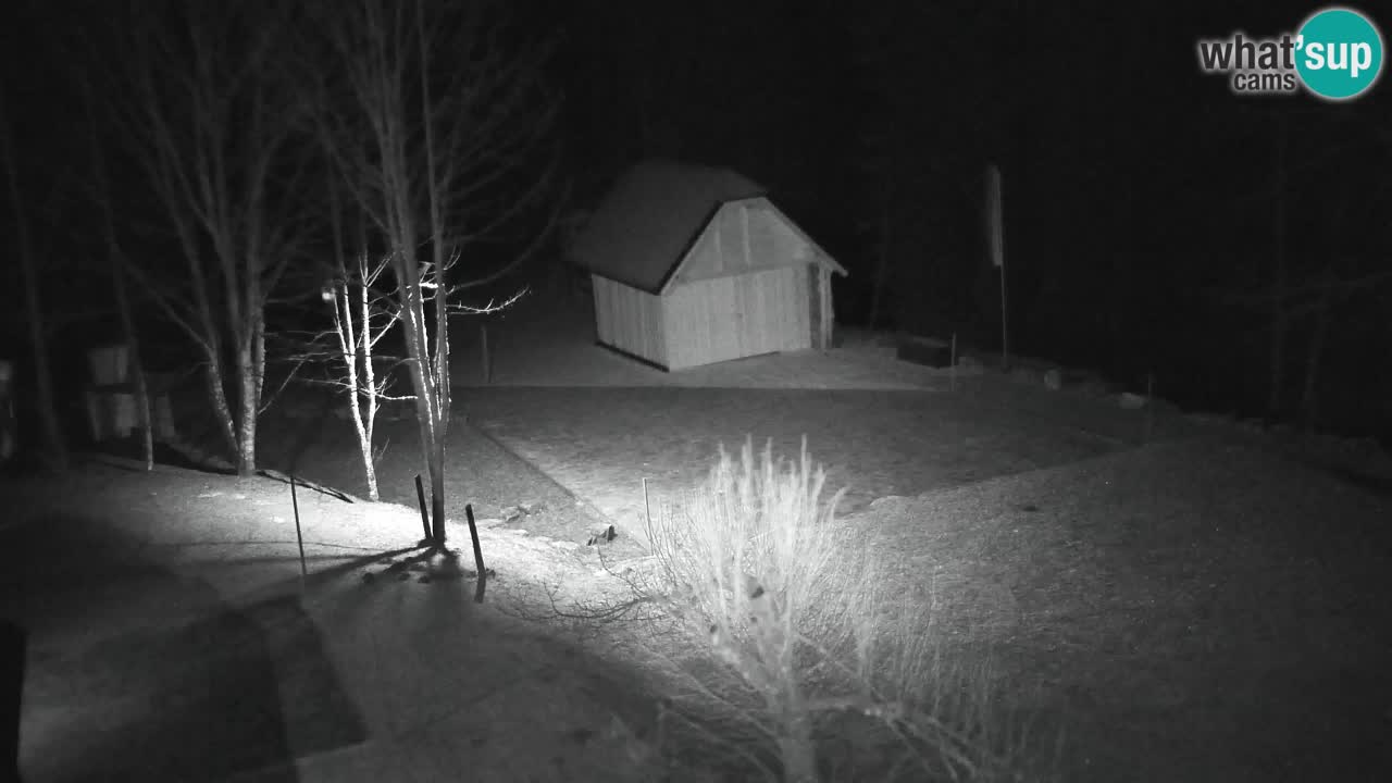 Webcam Lukanja – Pohorje houses a Water village