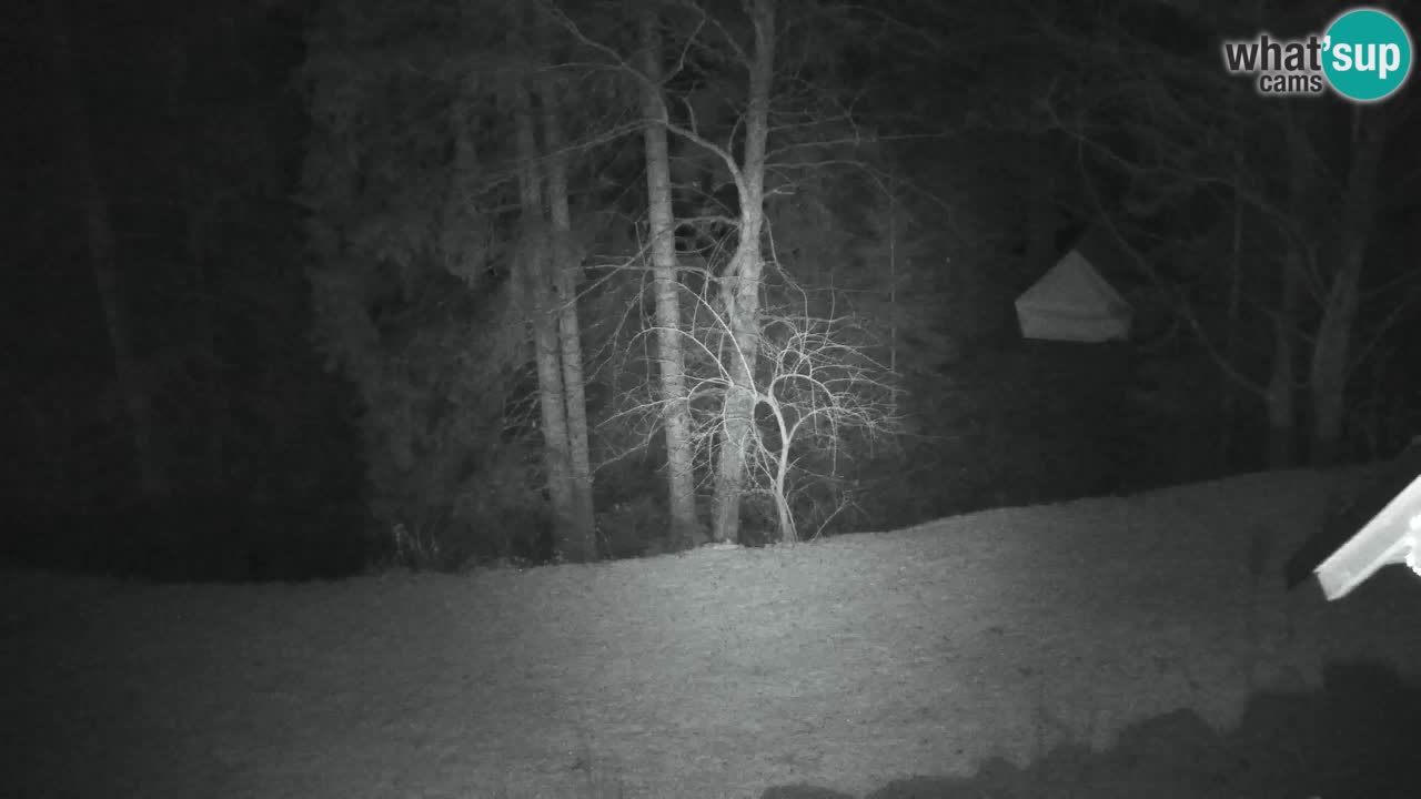 Webcam Lukanja – Pohorje houses a Water village