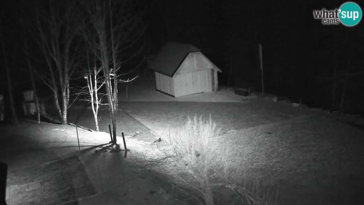 Webcam Lukanja – Water Village | Pohorje Houses