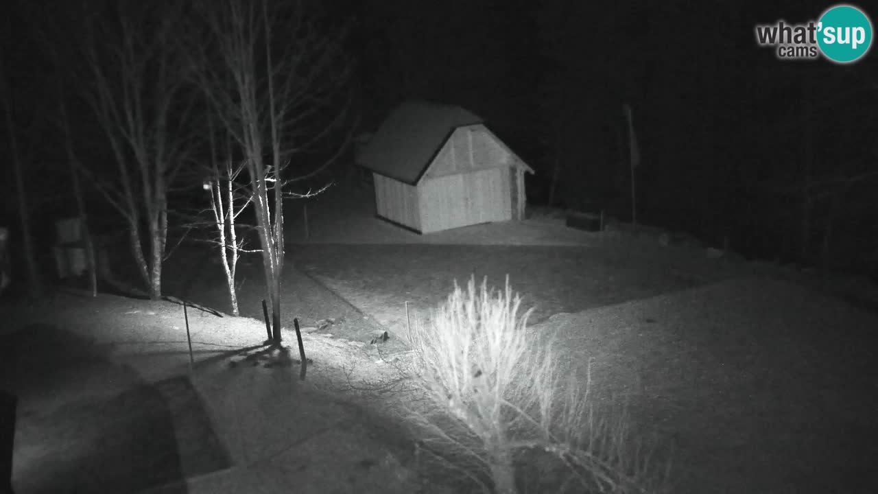 Webcam Lukanja – Water Village | Pohorje Houses