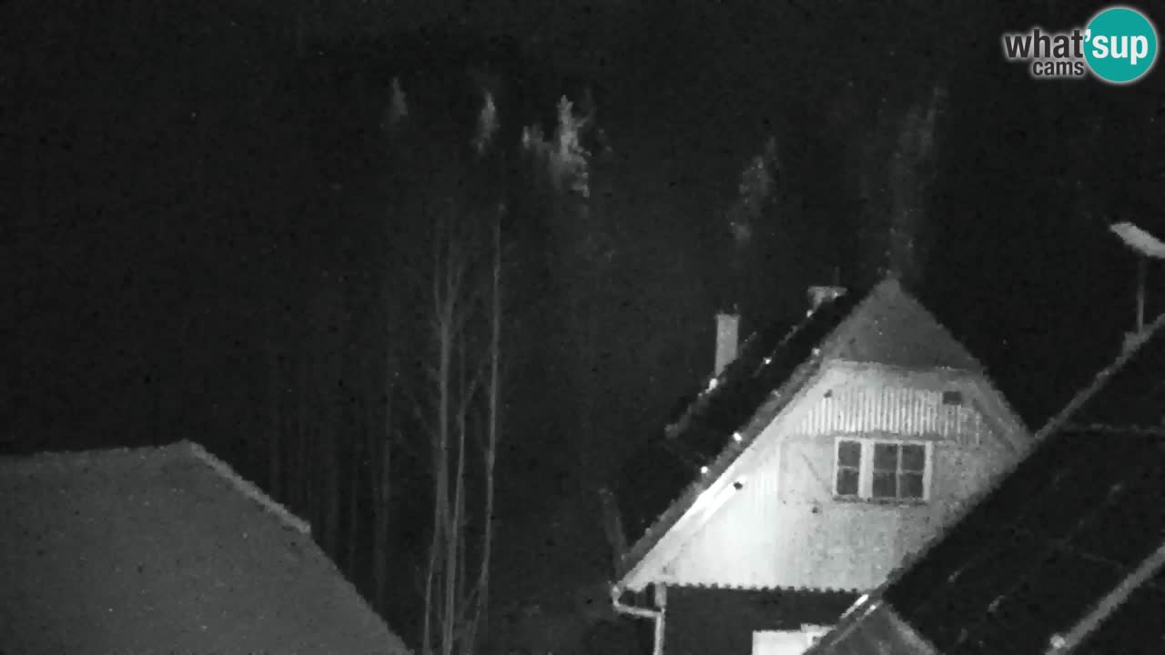 Webcam Lukanja – Pohorje houses a Water village