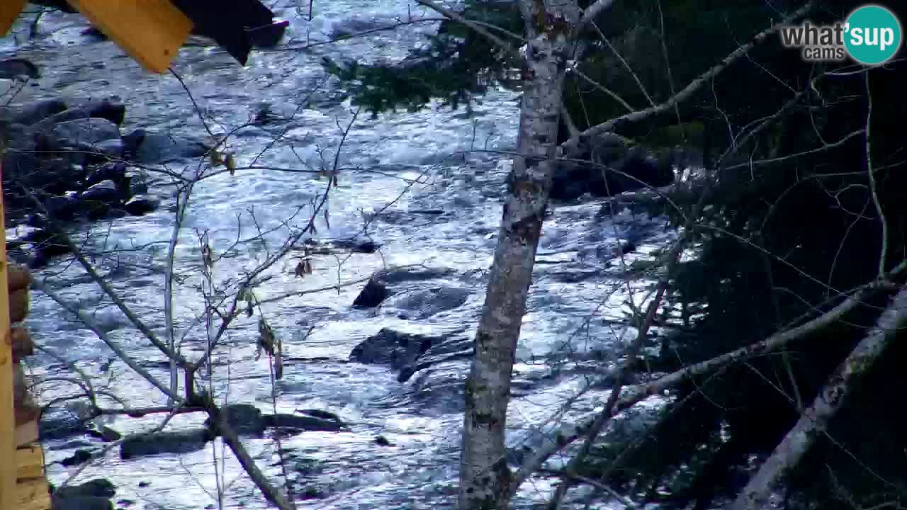 Spletna kamera Lukanja – Water Village | Pohorje Houses