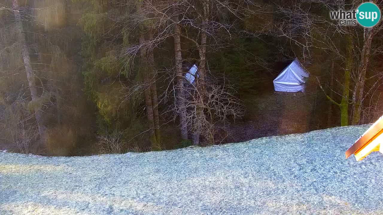 Web kamera Lukanja – Water Village | Pohorje Houses