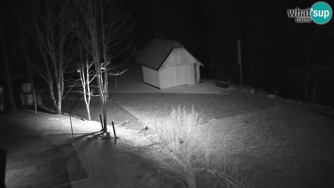 Webcam Lukanja – Water Village | Pohorje Houses