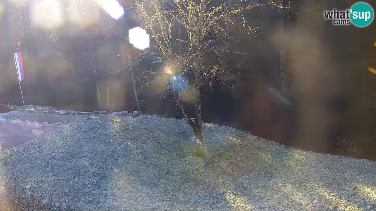 Webcam Lukanja – Water Village | Pohorje Houses