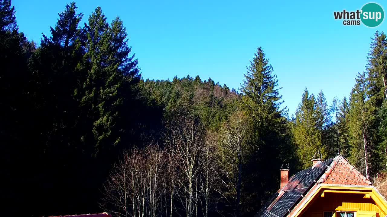 Spletna kamera Lukanja – Water Village | Pohorje Houses