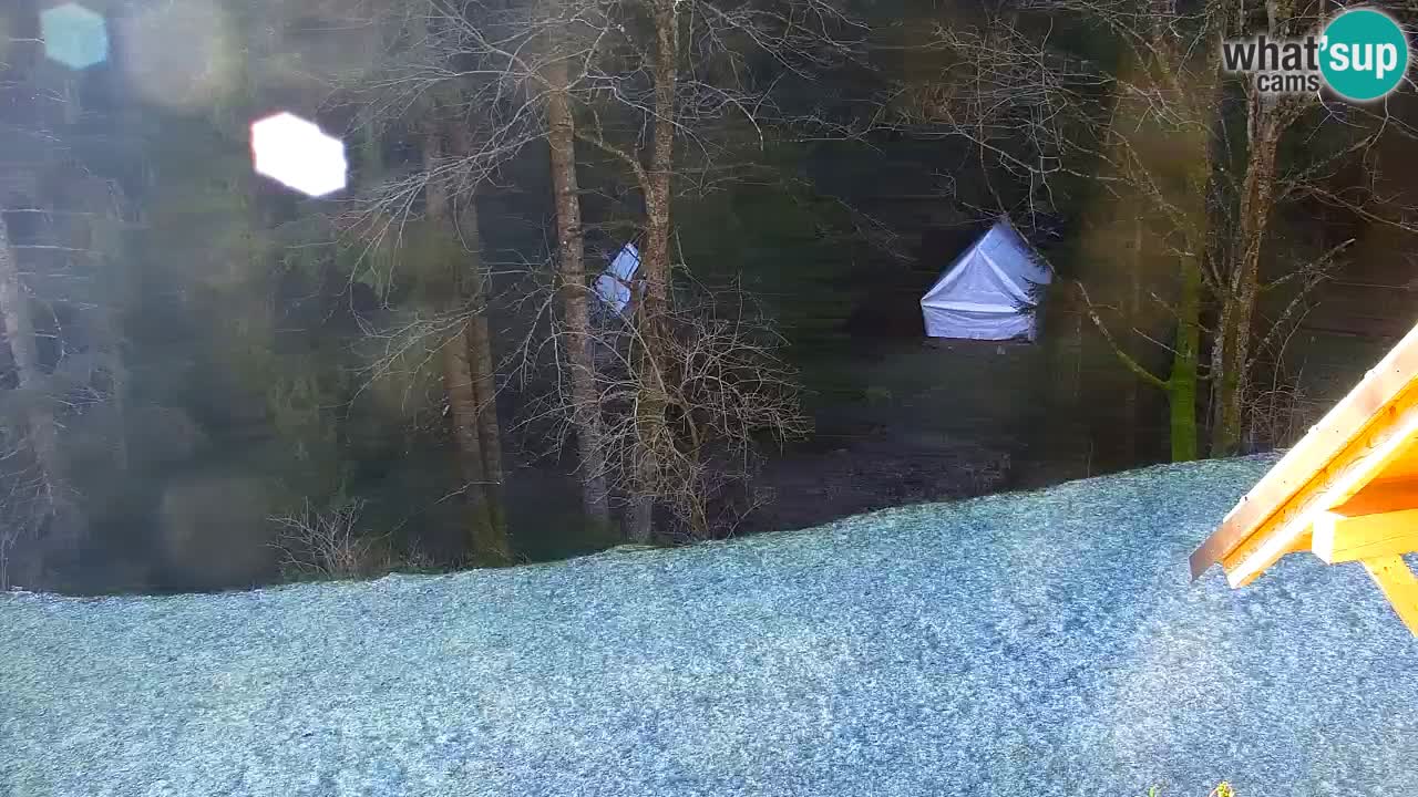 Webcam Lukanja – Pohorje houses a Water village