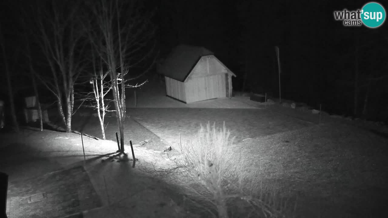 Webcam Lukanja – Pohorje houses a Water village