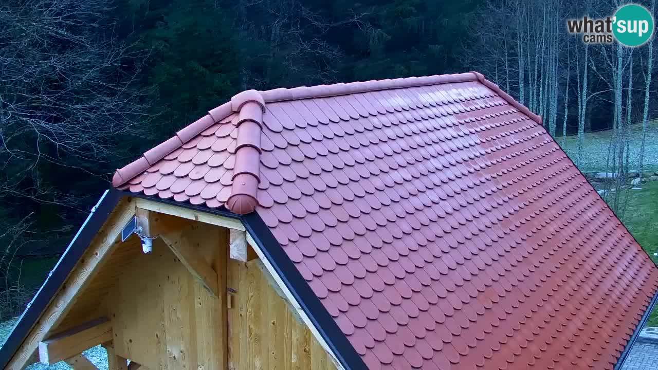 Webcam Lukanja – Pohorje houses a Water village