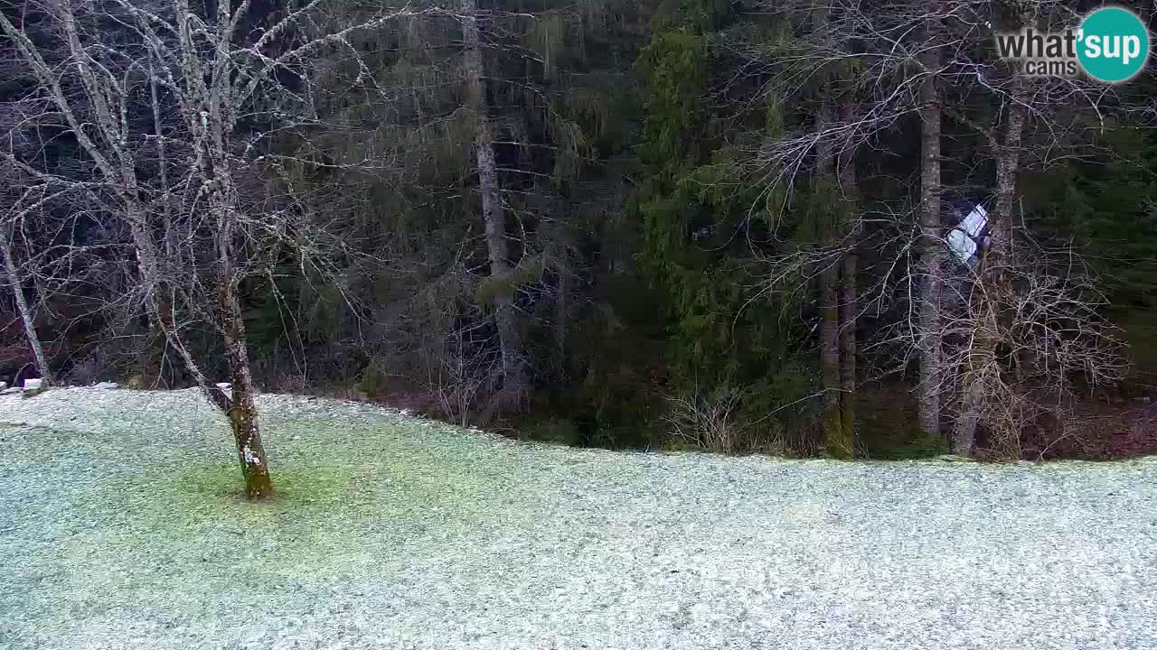 Webcam Lukanja – Water Village | Pohorje Houses