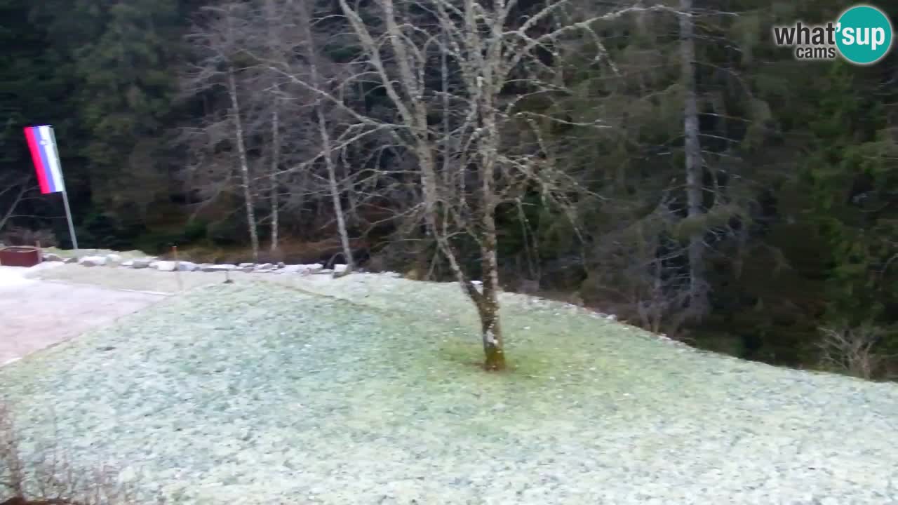 Webcam Lukanja – Water Village | Pohorje Houses