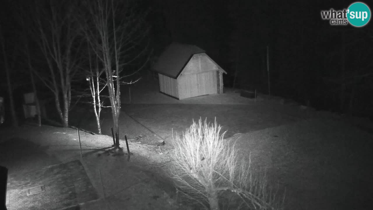 Webcam Lukanja – Pohorje houses a Water village