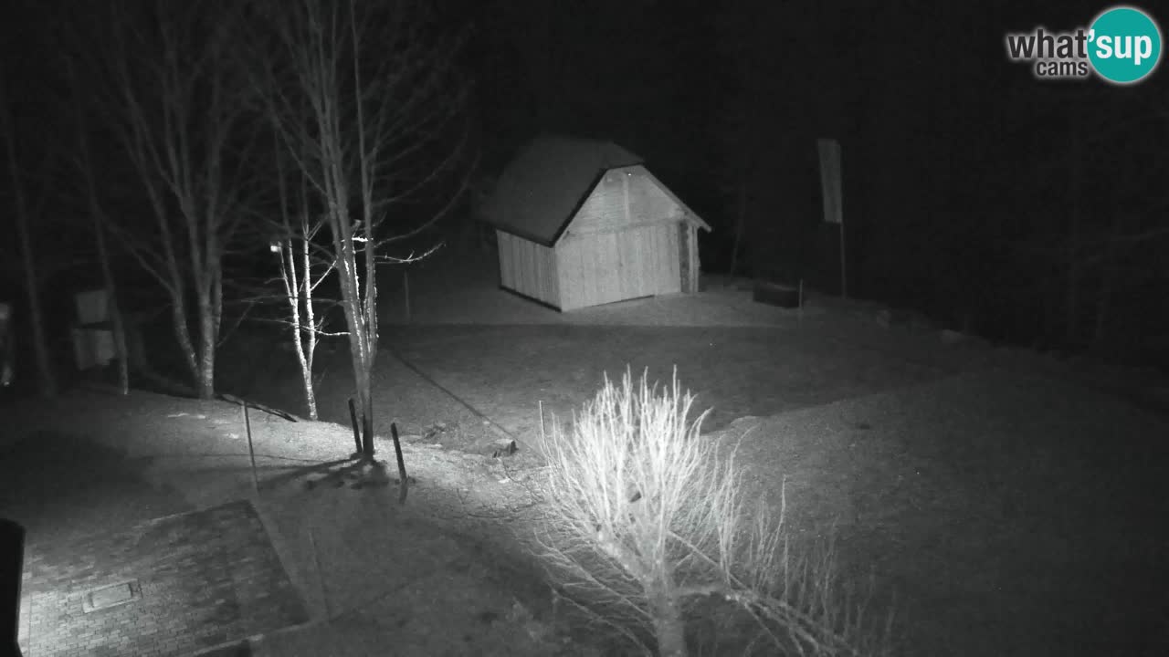 Webcam Lukanja – Water Village | Pohorje Houses