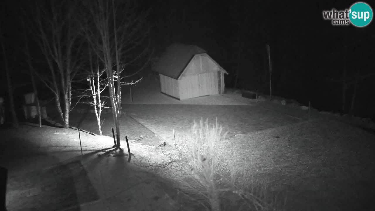 Webcam Lukanja – Pohorje houses a Water village