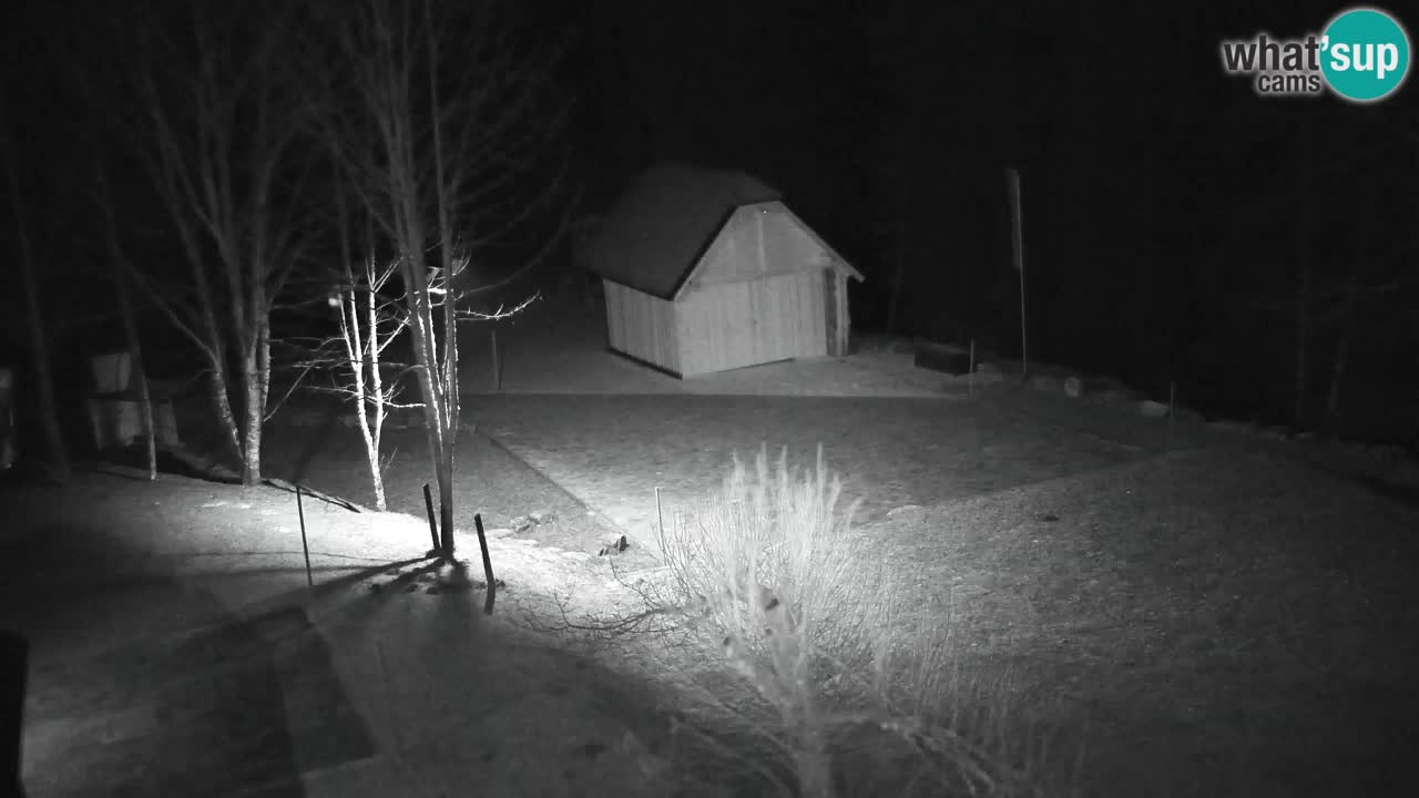 Webcam Lukanja – Pohorje houses a Water village