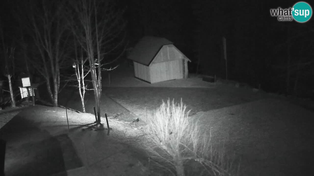 Webcam Lukanja – Pohorje houses a Water village