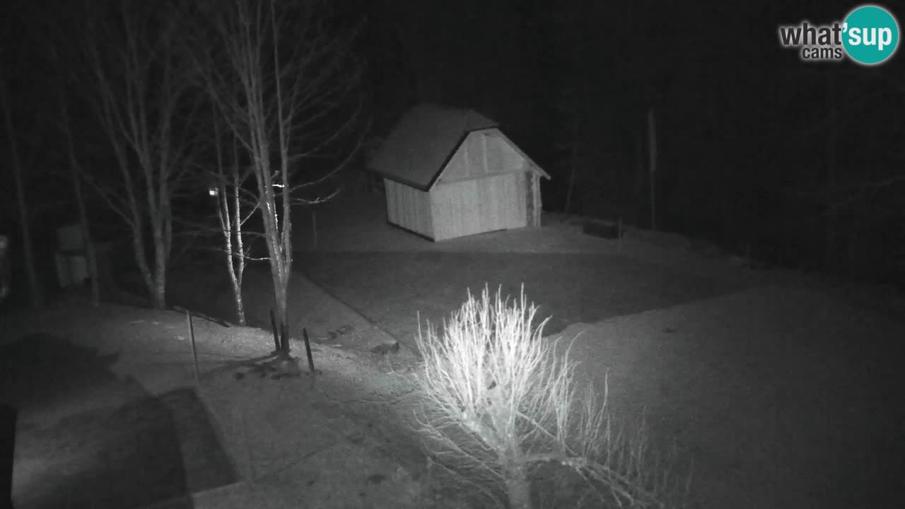 Webcam Lukanja – Water Village | Pohorje Houses