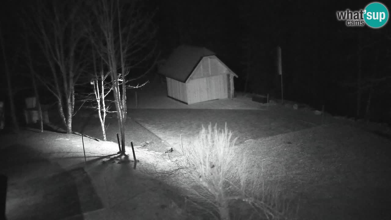 Webcam Lukanja – Pohorje houses a Water village