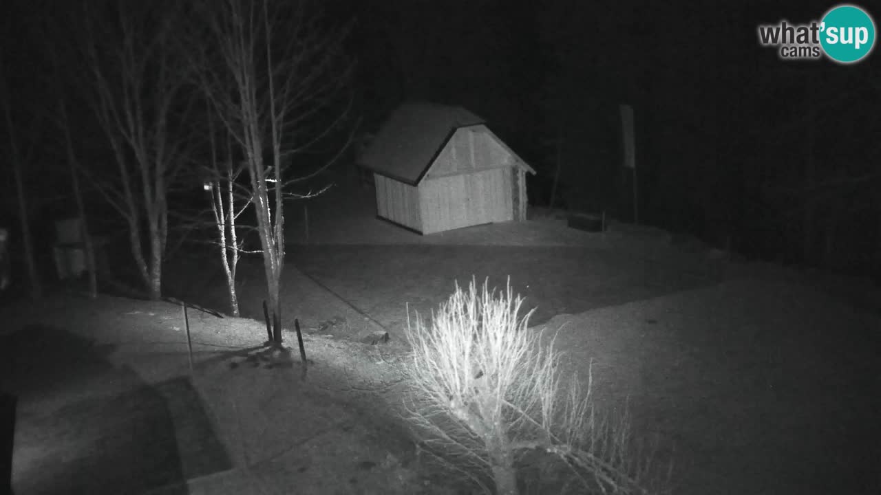 Webcam Lukanja – Water Village | Pohorje Houses