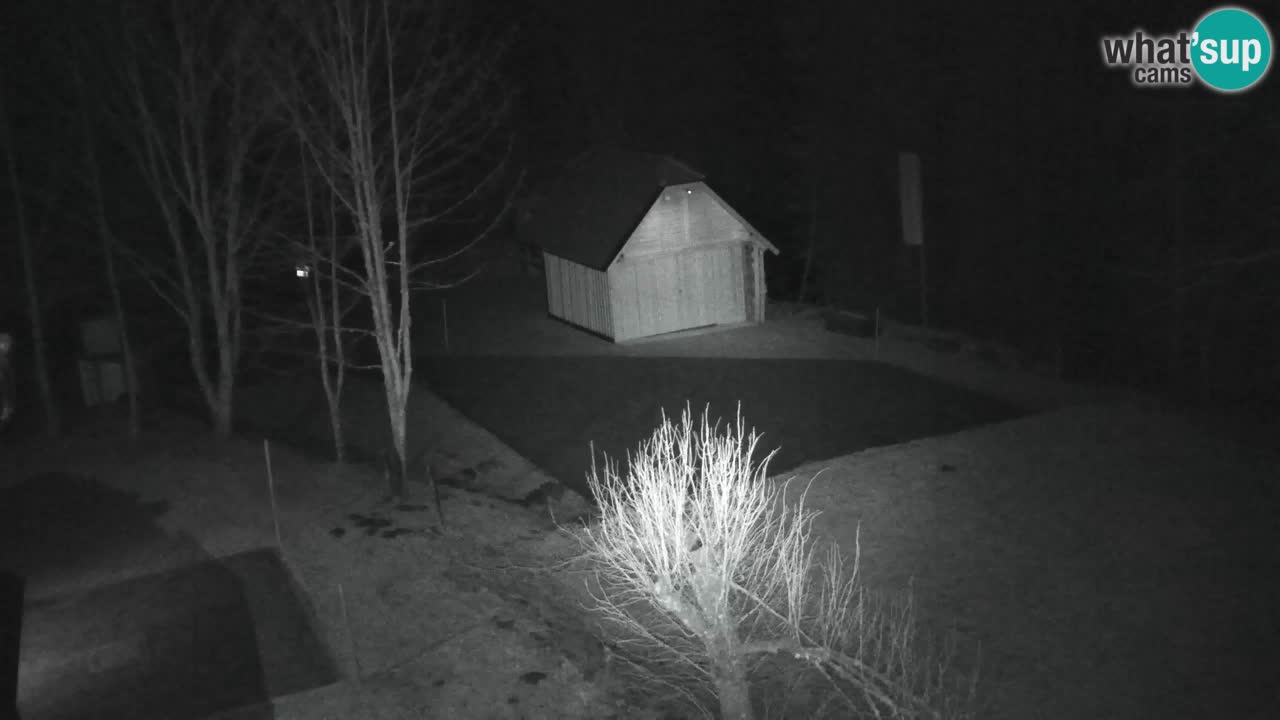 Webcam Lukanja – Water Village | Pohorje Houses