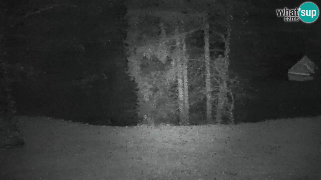 Webcam Lukanja – Pohorje houses a Water village