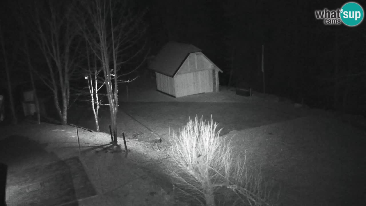 Webcam Lukanja – Water Village | Pohorje Houses