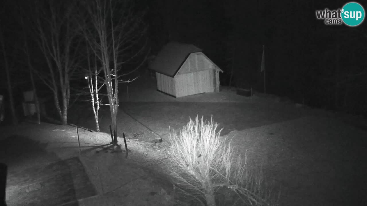 Webcam Lukanja – Water Village | Pohorje Houses