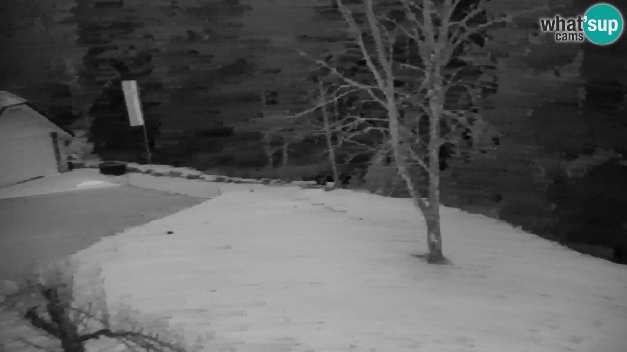 Webcam Lukanja – Water Village | Pohorje Houses