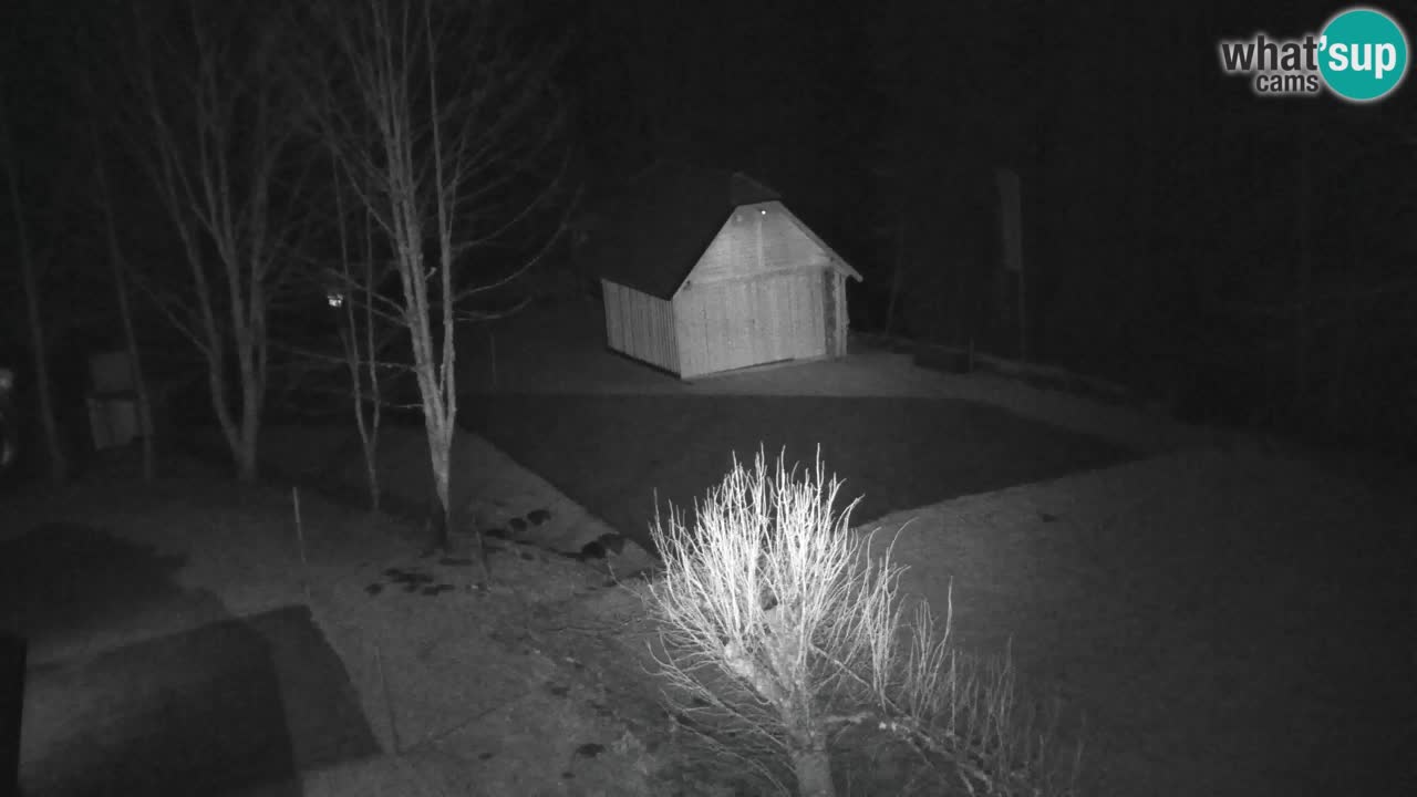 Webcam Lukanja – Water Village | Pohorje Houses