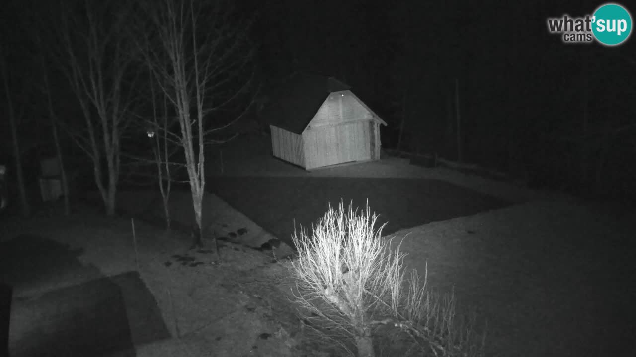 Webcam Lukanja – Pohorje houses a Water village