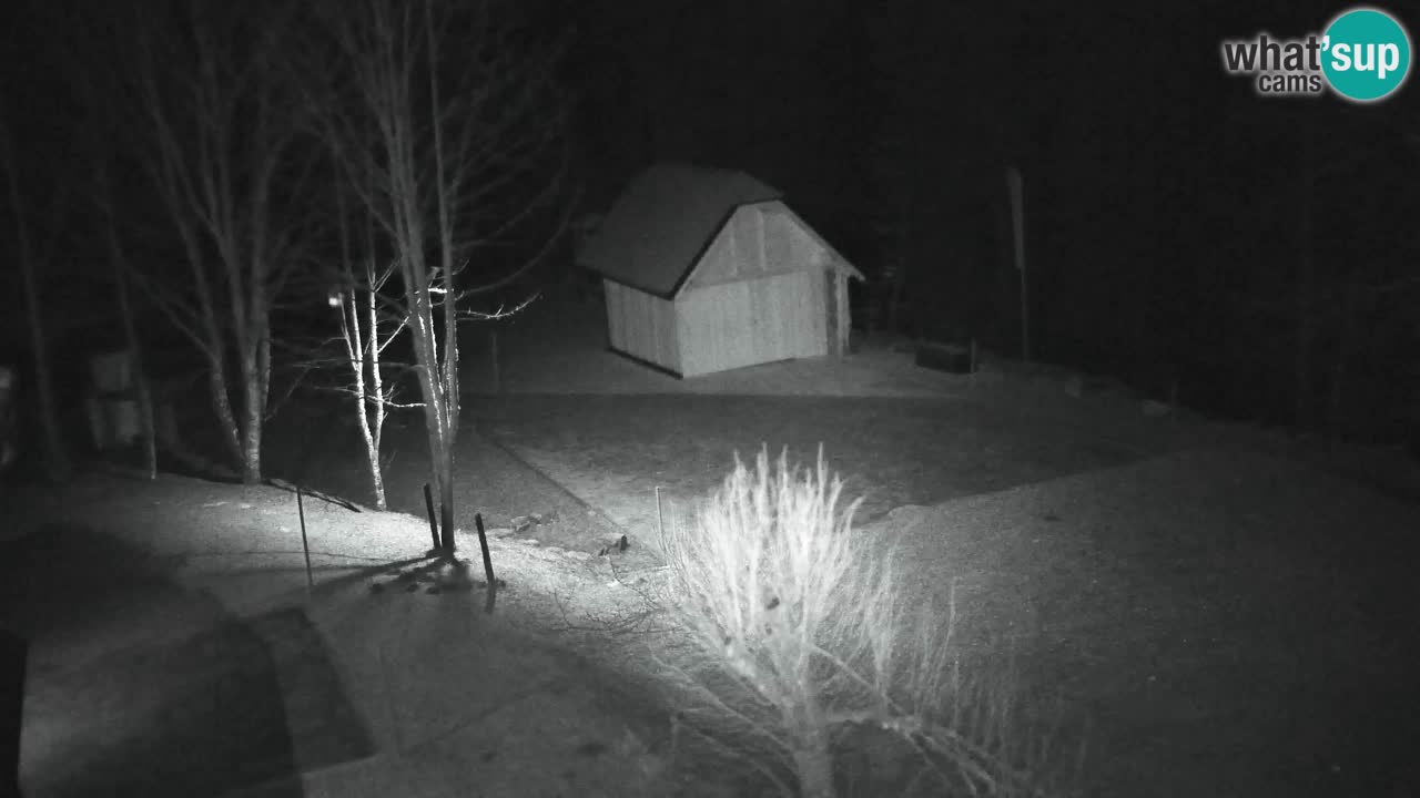 Webcam Lukanja – Water Village | Pohorje Houses