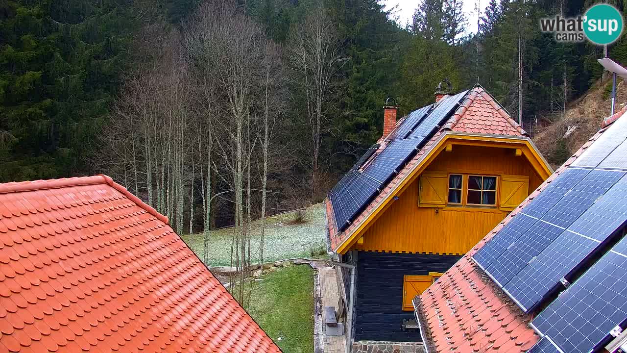Spletna kamera Lukanja – Water Village | Pohorje Houses