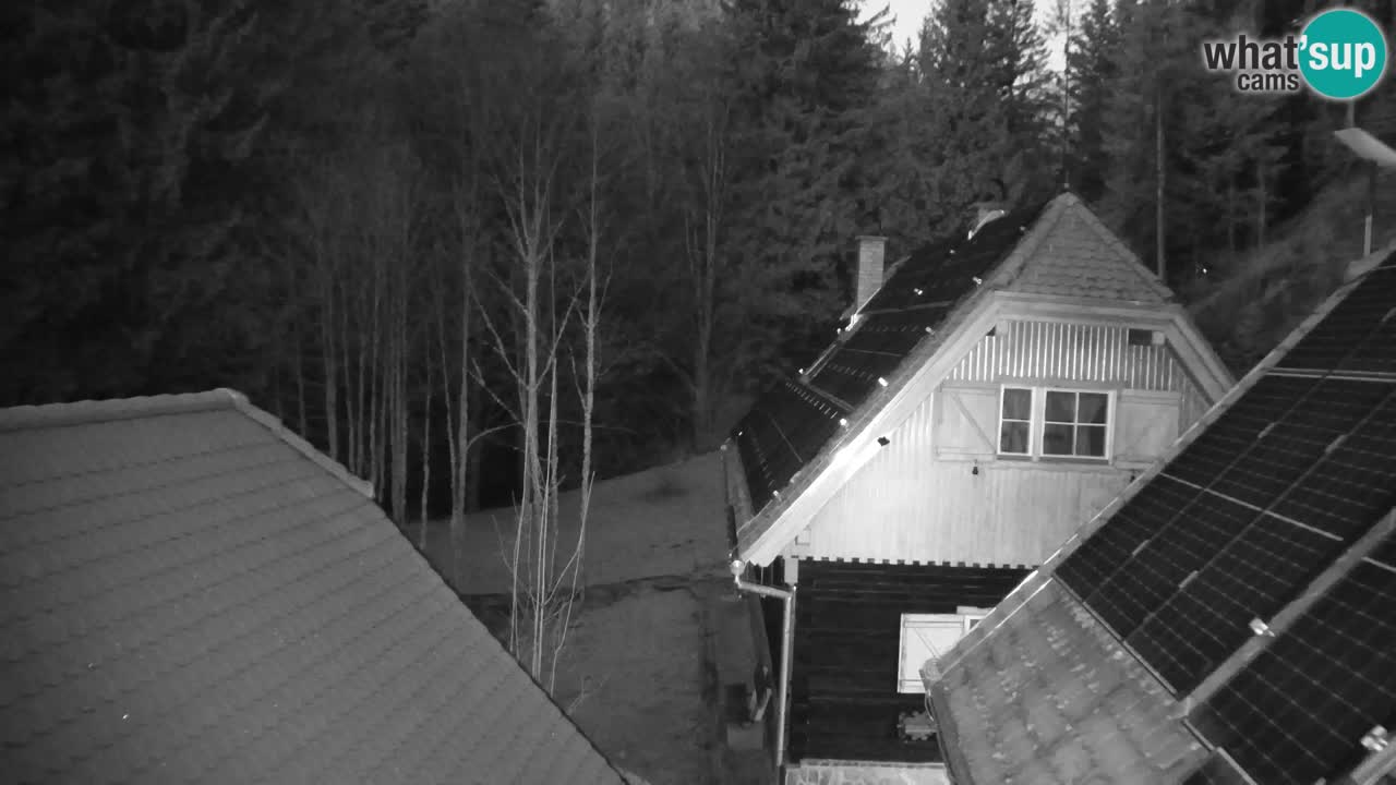 Webcam Lukanja – Water Village | Pohorje Houses