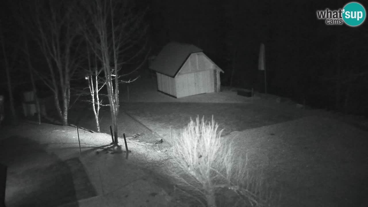 Webcam Lukanja – Pohorje houses a Water village