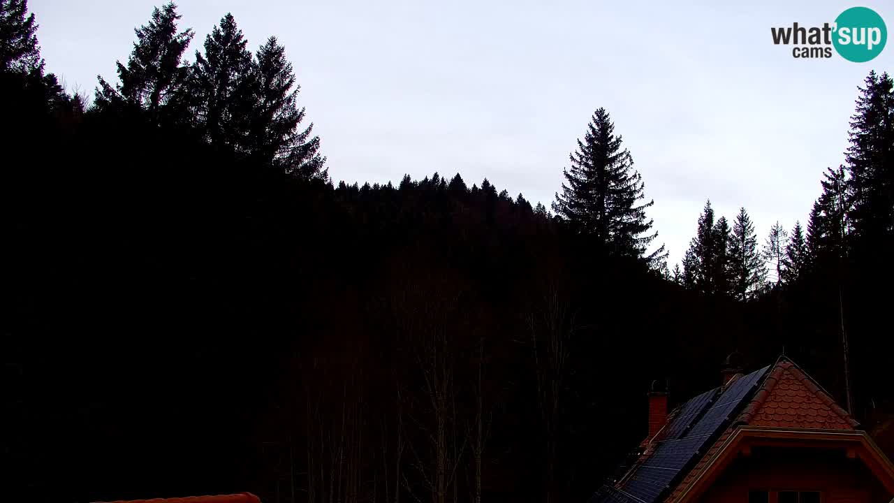 Web kamera Lukanja – Water Village | Pohorje Houses