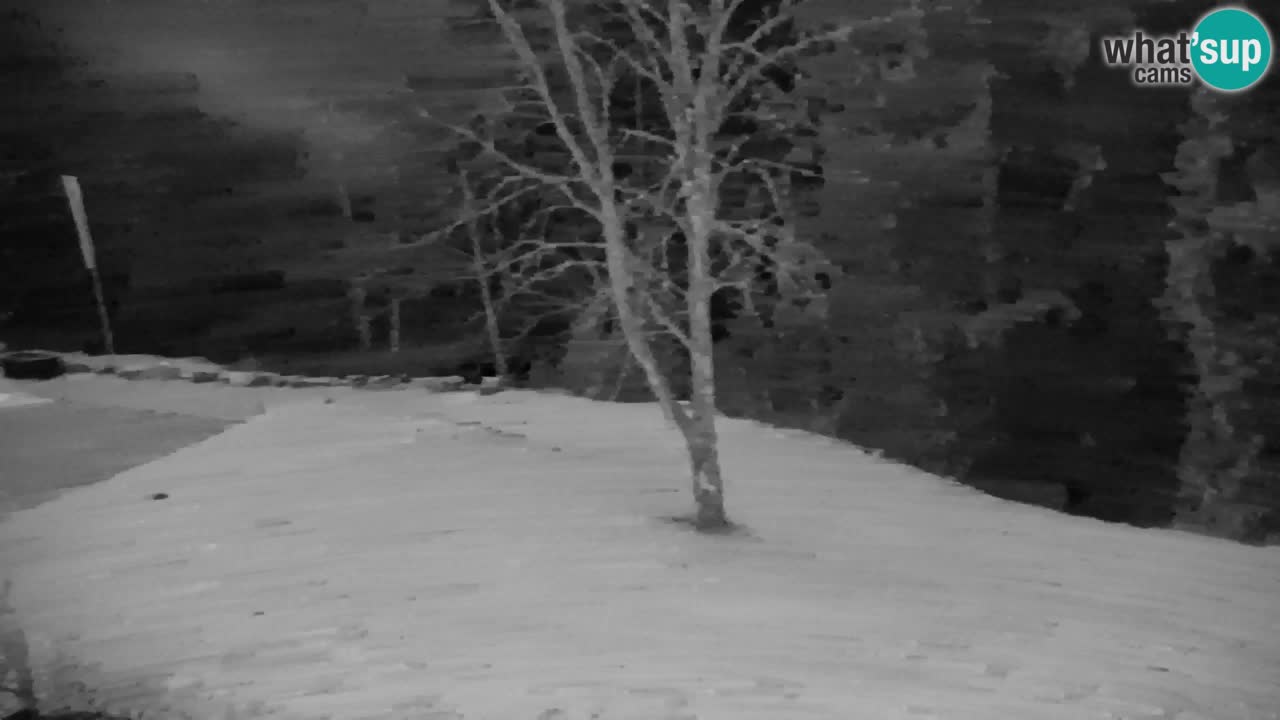 Webcam Lukanja – Water Village | Pohorje Houses