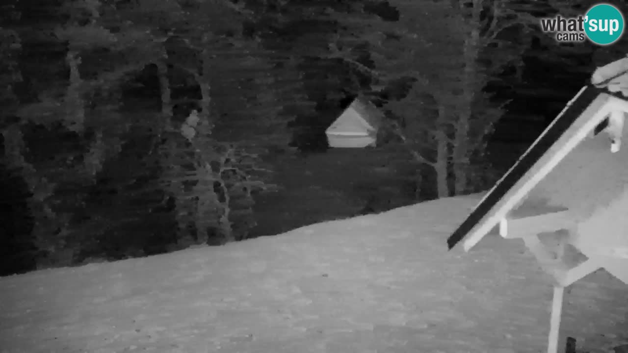 Webcam Lukanja – Pohorje houses a Water village