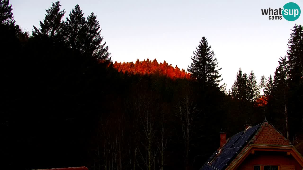 Web kamera Lukanja – Water Village | Pohorje Houses