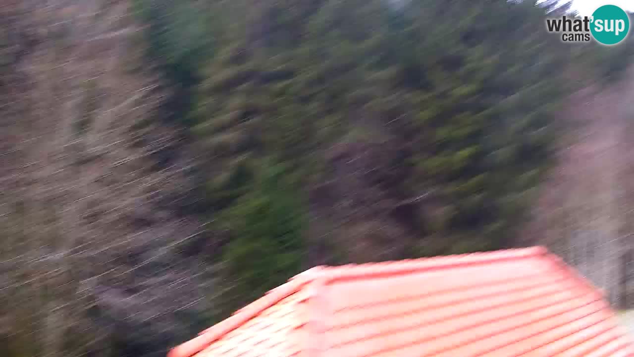 Webcam Lukanja – Water Village | Pohorje Houses