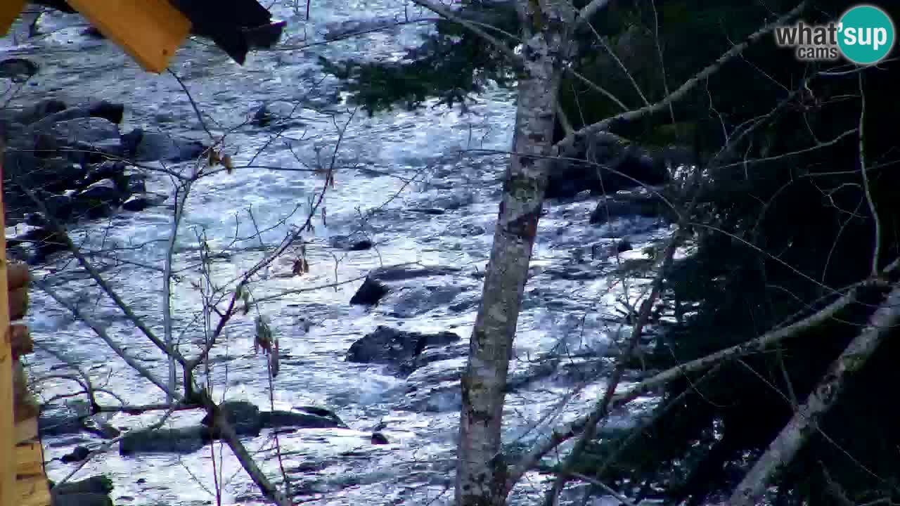 Web kamera Lukanja – Water Village | Pohorje Houses