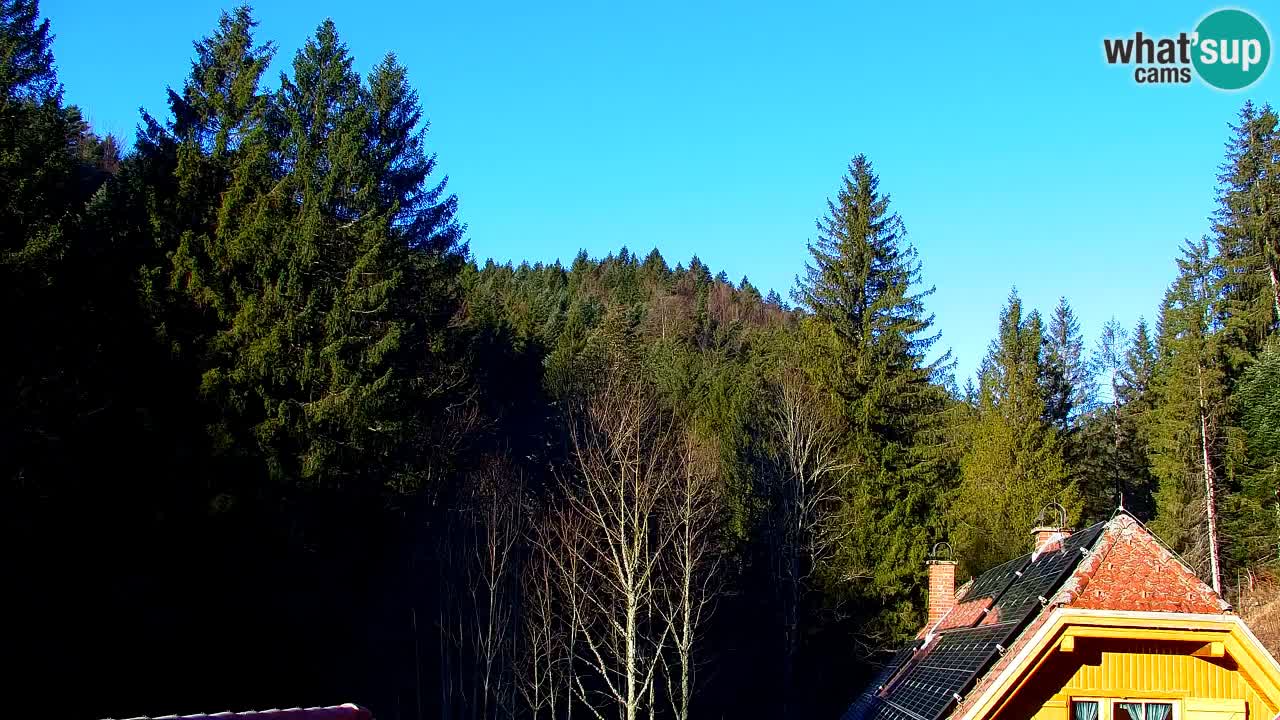 Webcam Lukanja – Pohorje houses a Water village