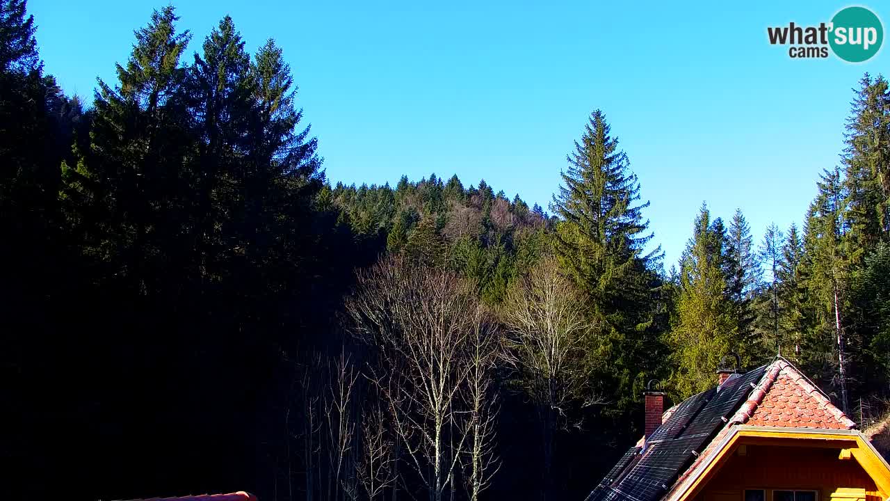 Webcam Lukanja – Water Village | Pohorje Houses