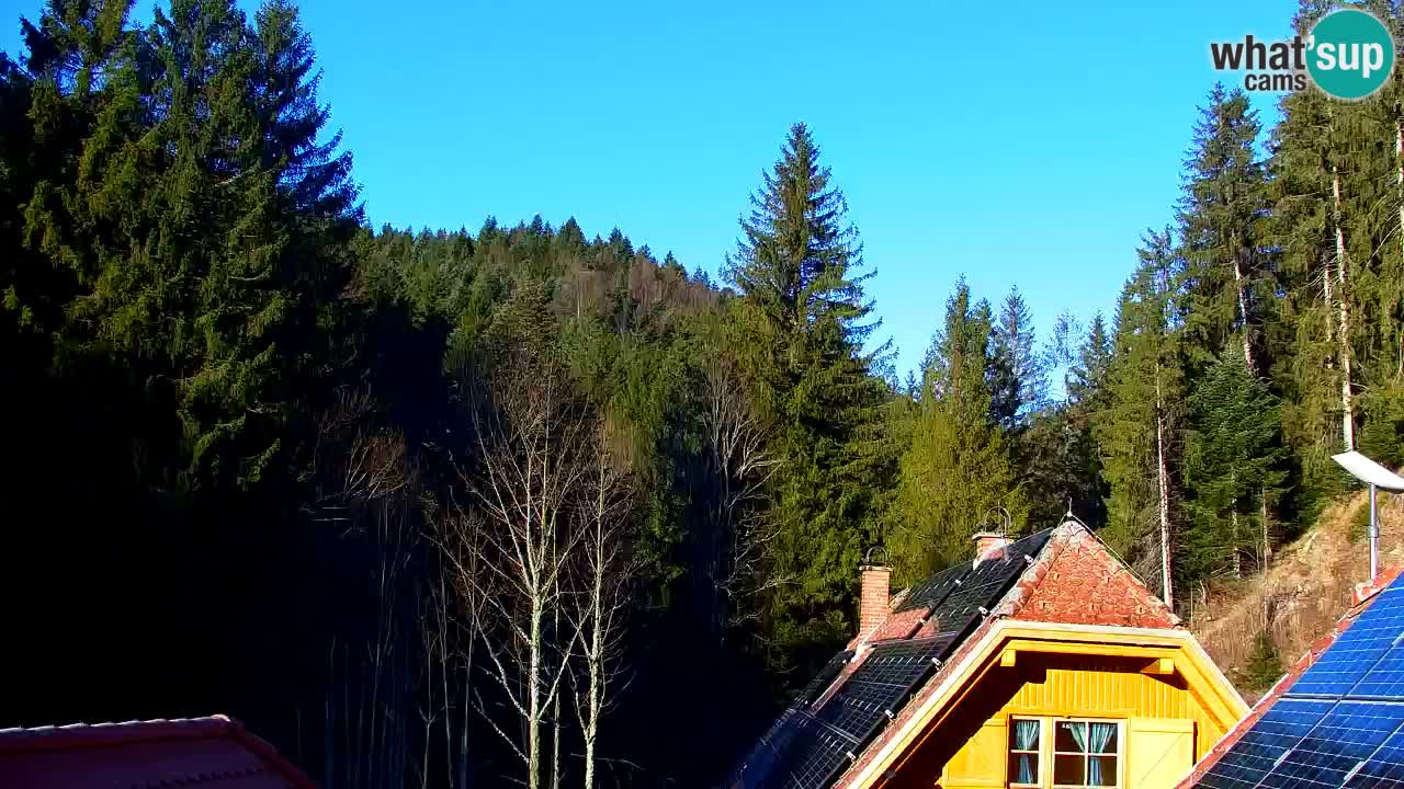 Web kamera Lukanja – Water Village | Pohorje Houses