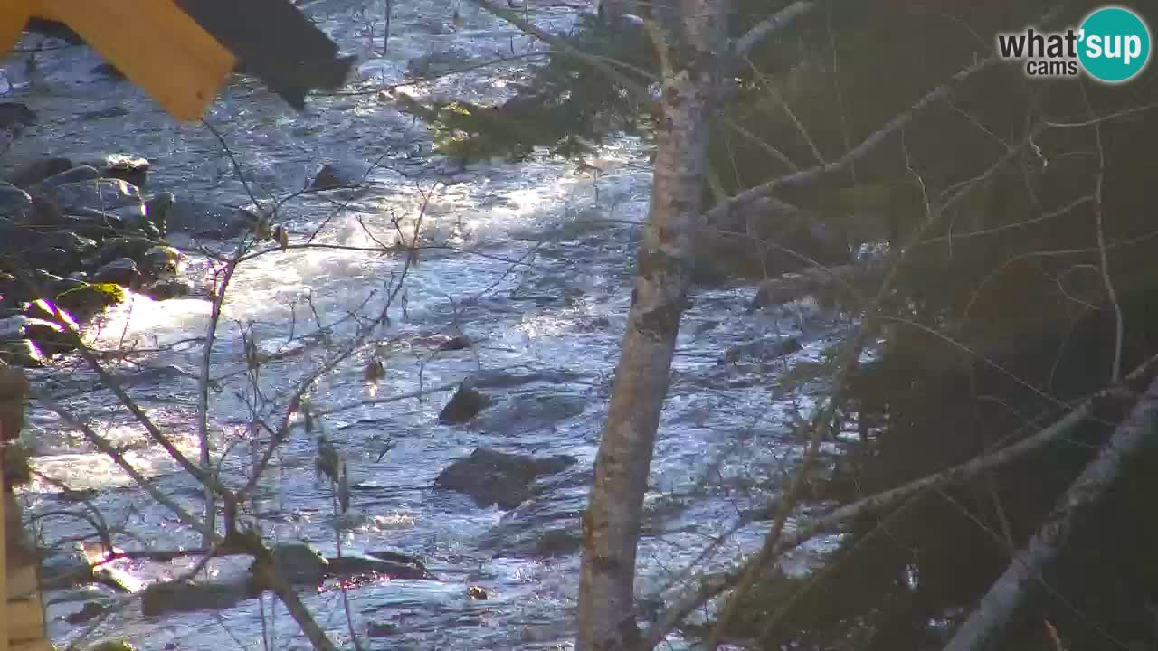 Webcam Lukanja – Water Village | Pohorje Houses