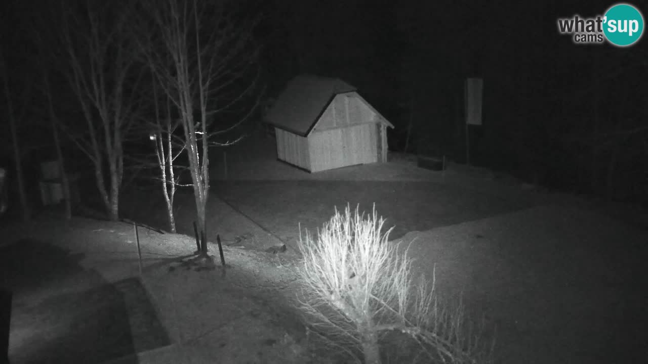 Webcam Lukanja – Water Village | Pohorje Houses