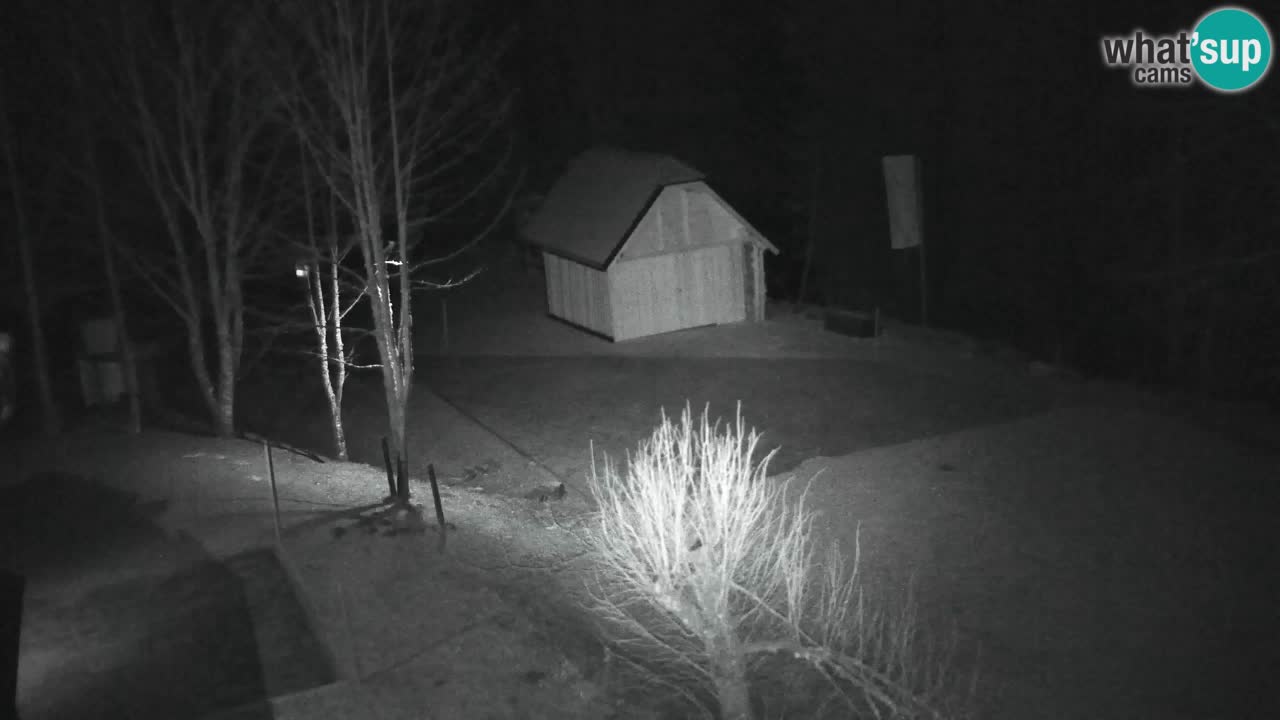 Webcam Lukanja – Pohorje houses a Water village