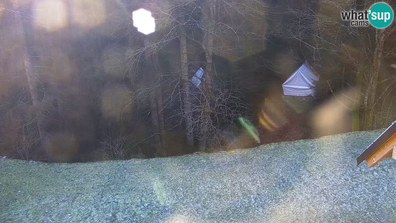 Webcam Lukanja – Water Village | Pohorje Houses